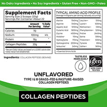 Orgain Hydrolyzed Collagen Powder, 20g Grass Fed Collagen Peptides, Unflavored - Hair, Skin, Nail, & Joint Support Supplement, Paleo & Keto, Non GMO, Type 1 and 3 Collagen - 1lb (Packaging May Vary)